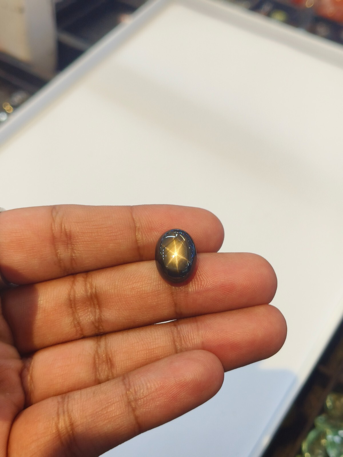12.07 Cts A VERY TOP QUALITY BLACK STAR SAPPHIRE WITH EXCELLENT AND PERFECT 6 ⭐