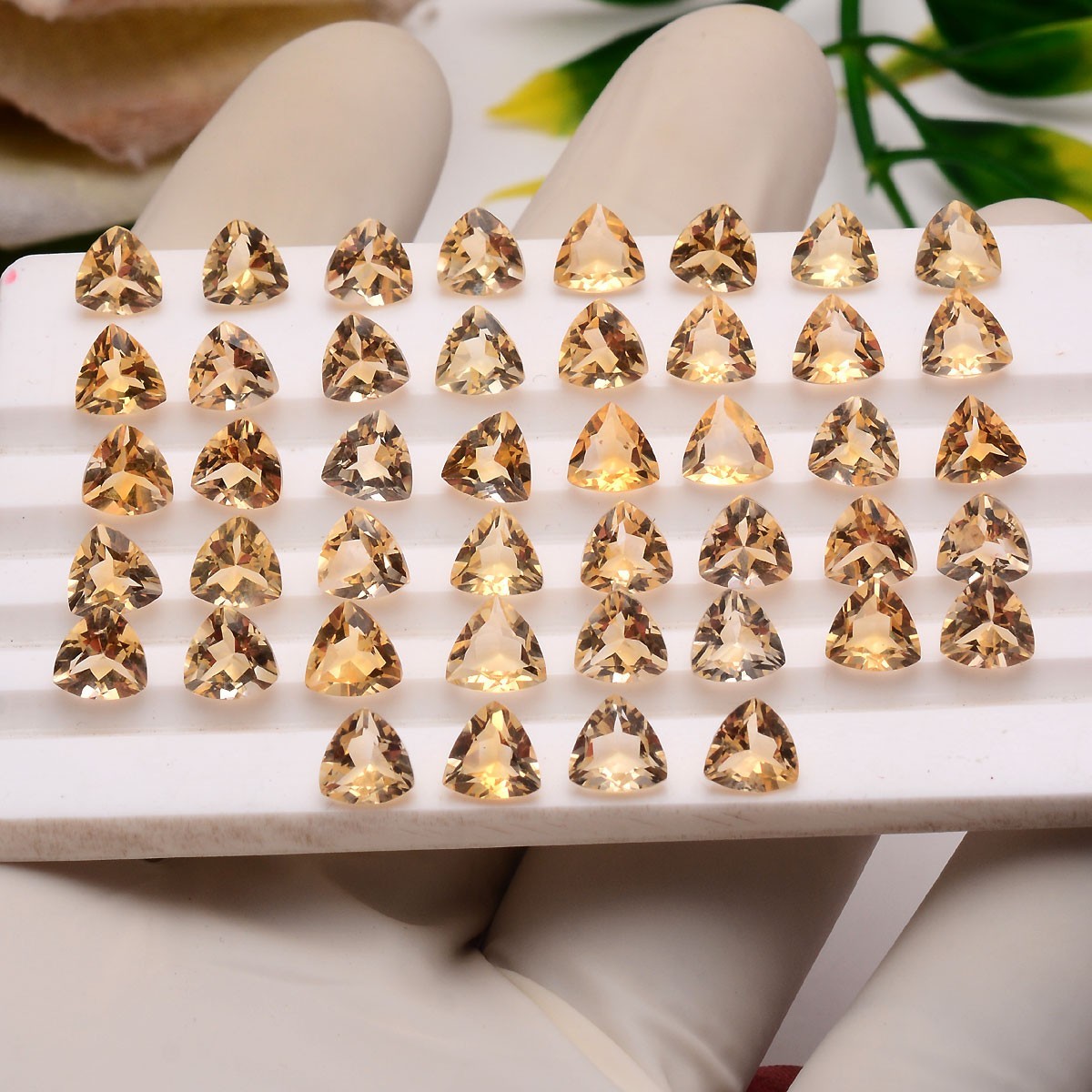 VVS 22 Pcs Natural Citrine 6mm Trillion Cut Dazzling Yellow Huge Loose Gemstones