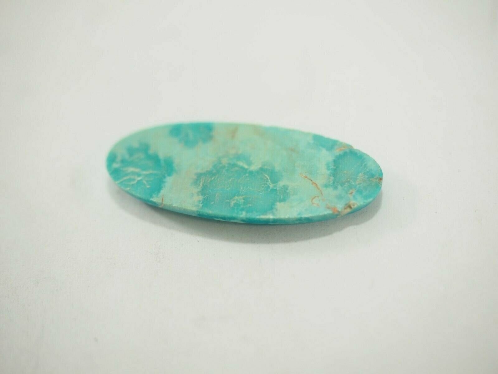 12.01 carat Natural Turquoise Mountain Cabochon 24.6 x 15.8 x 3.7mm TC-137 GEM