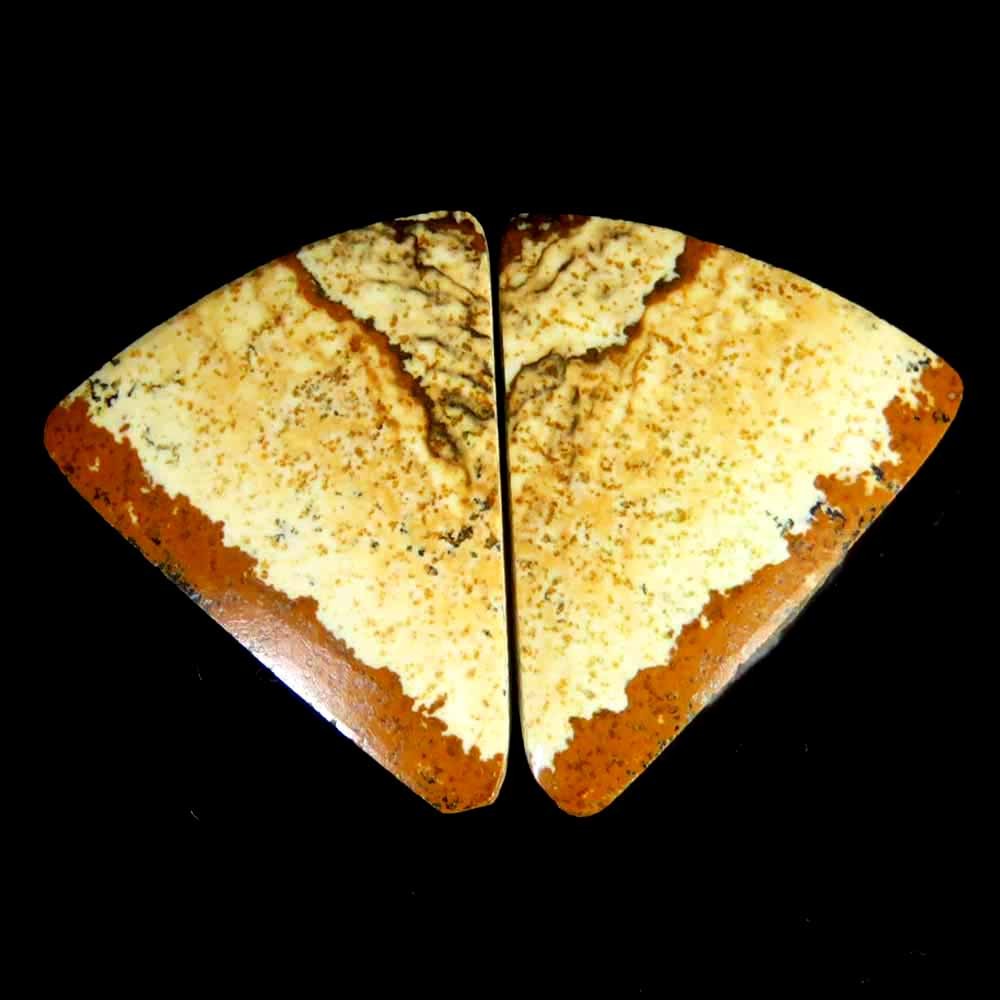 19.25Cts.100%Natural Picture Jasper Fancy Cab Pair Cab 17x20x4mm Losse Gems