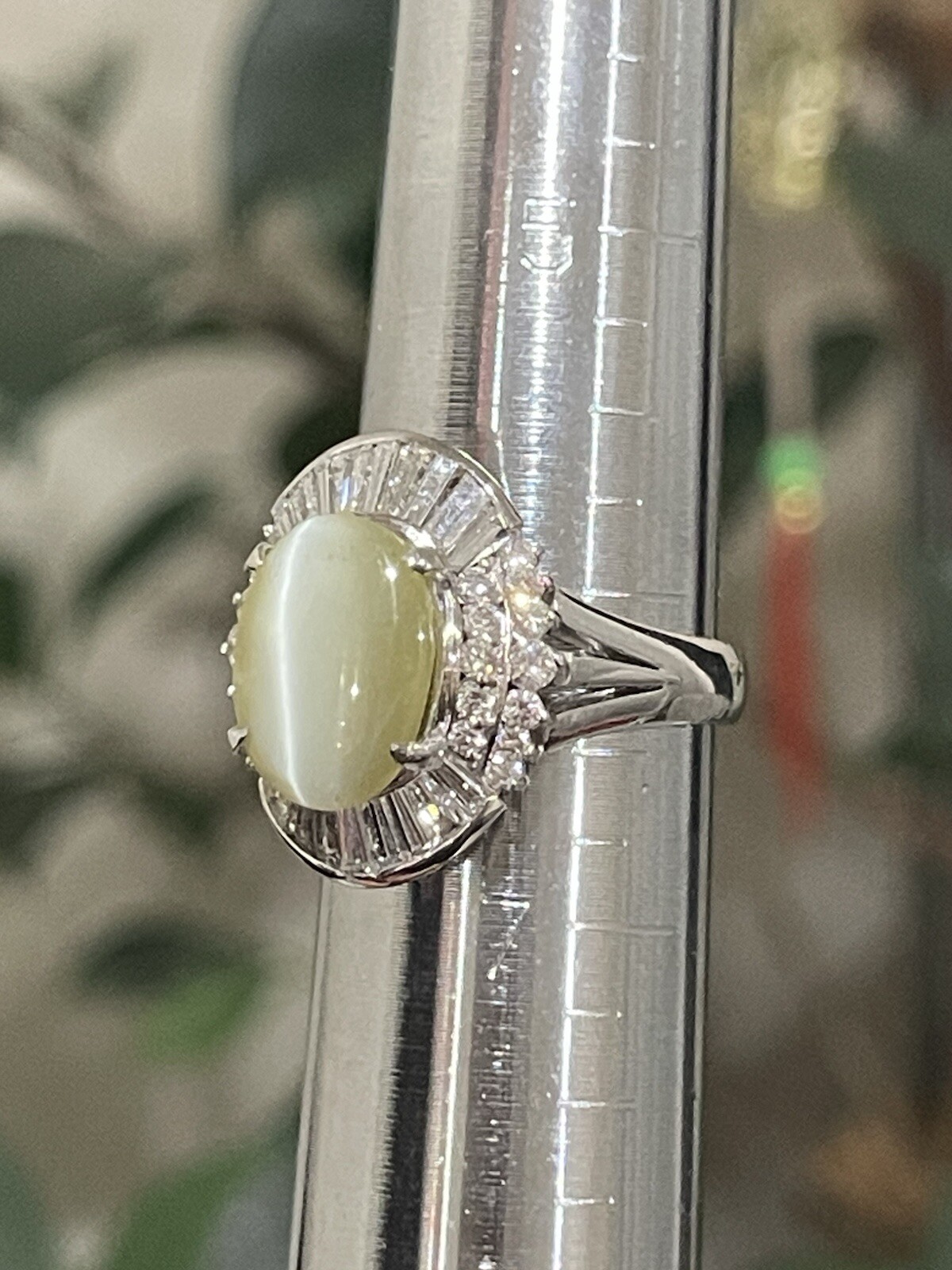 GIA 3.29ct Natural Chrysoberyl Greenish Yellow Cats Eye Ring 1.38ct diam,pt900