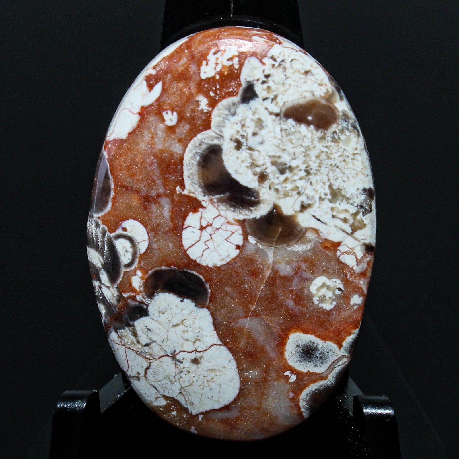 23.10 Ct. Nice Mushroom Jasper Oval Cabochon Loose Gemstone 30x20x4 mm