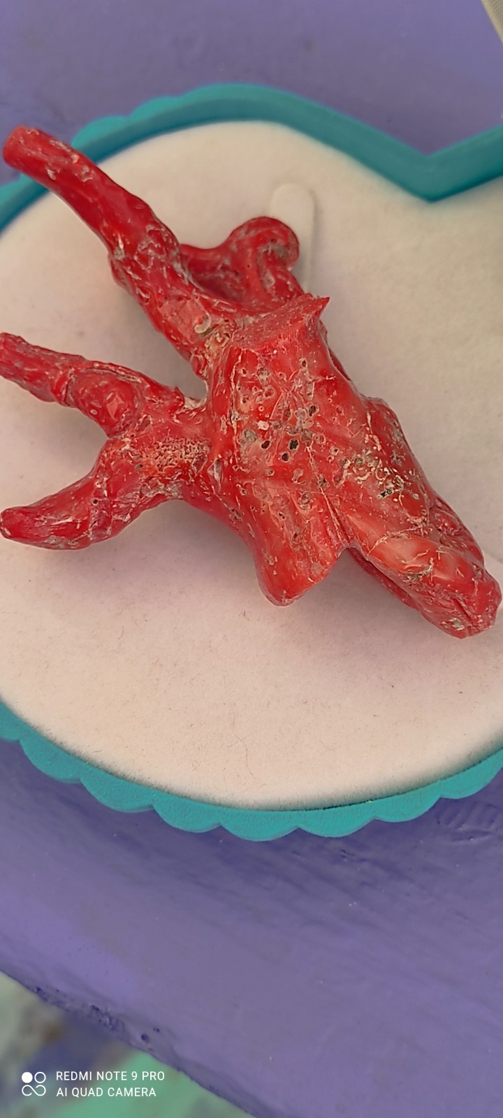 Natural Red Coral of Sardinia