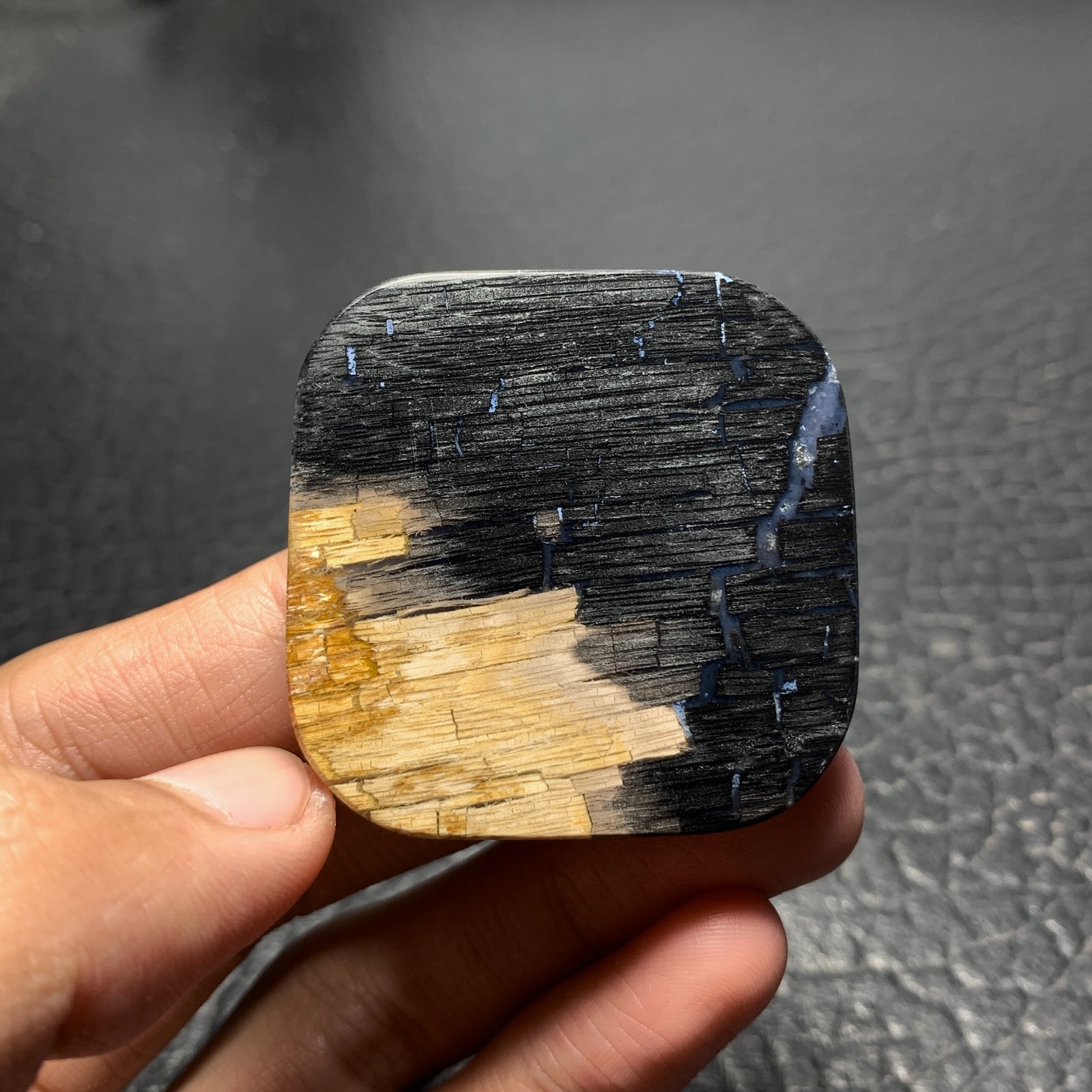 Petrified Wood Cabochon 41.5×41.5x6mm High Quality 105 ct