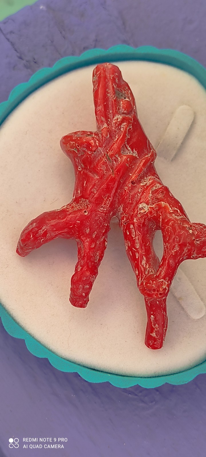 Natural Red Coral of Sardinia