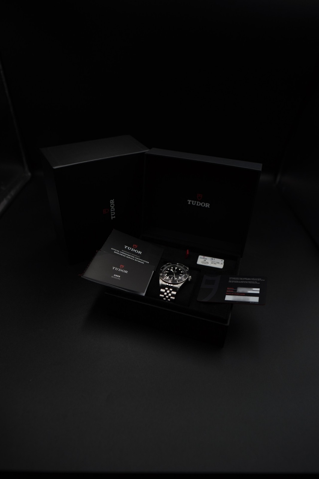 2024 Tudor Black Bay Monochrome Jubilee 41mm 7941A1A0NU Box & Papers Black Dial