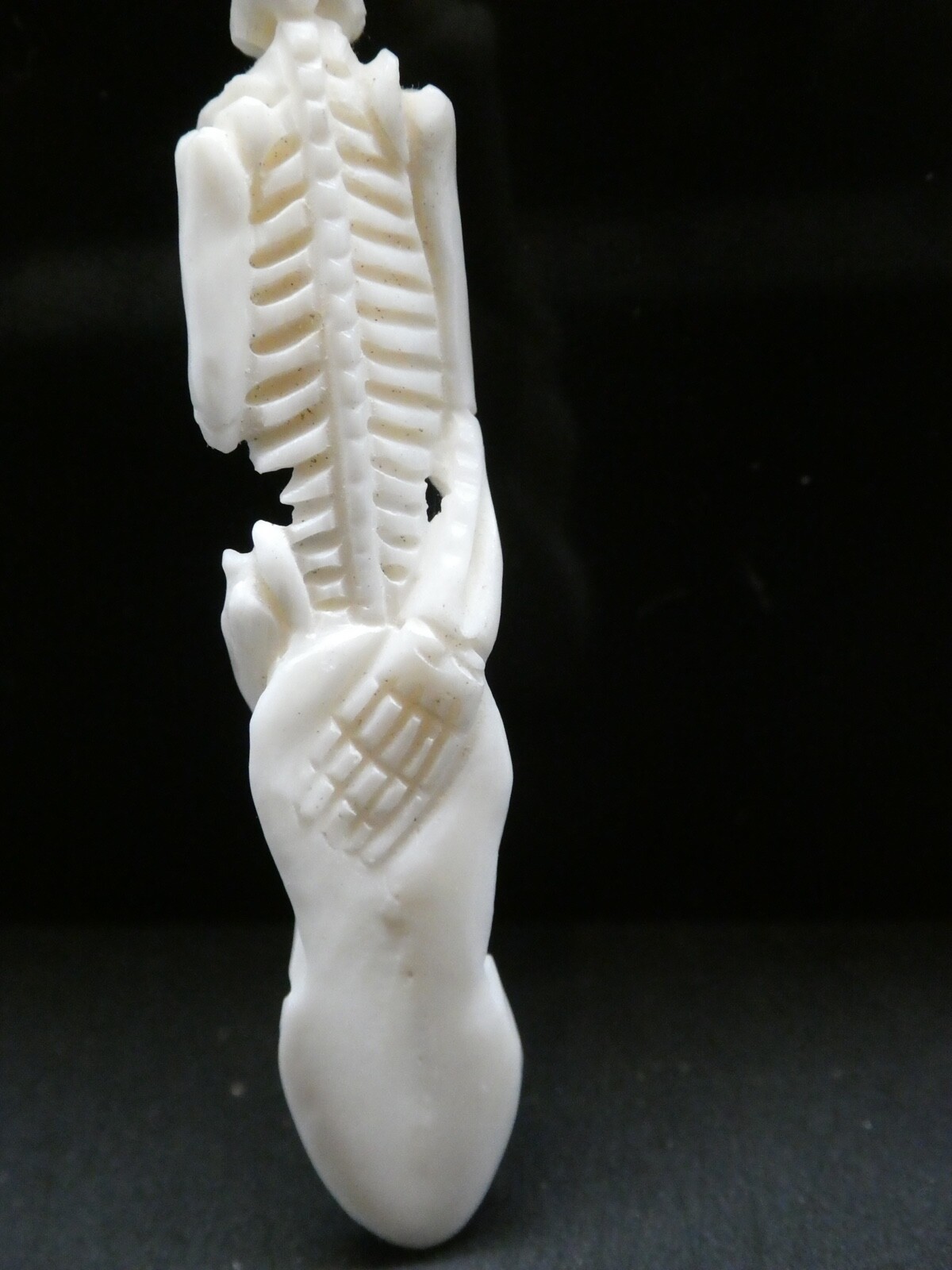 Skeleton Standing Double Sided Anatomical Natural Water Buffalo Bone Pendant