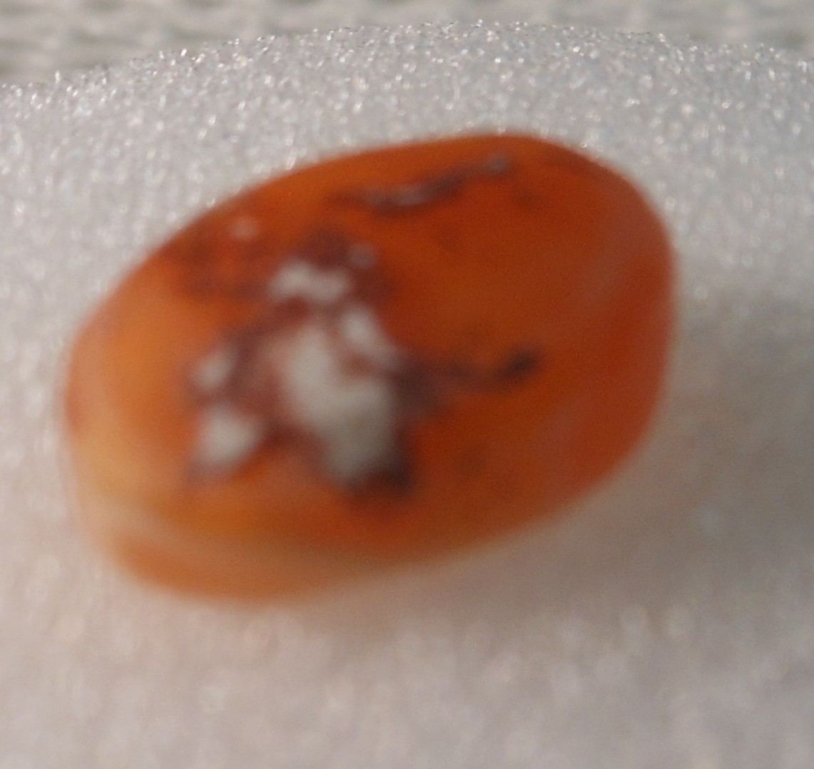 4.90ct Orange Mexican Fire Opal, 14.6×11.4×4.5mm, Bonanza Sale