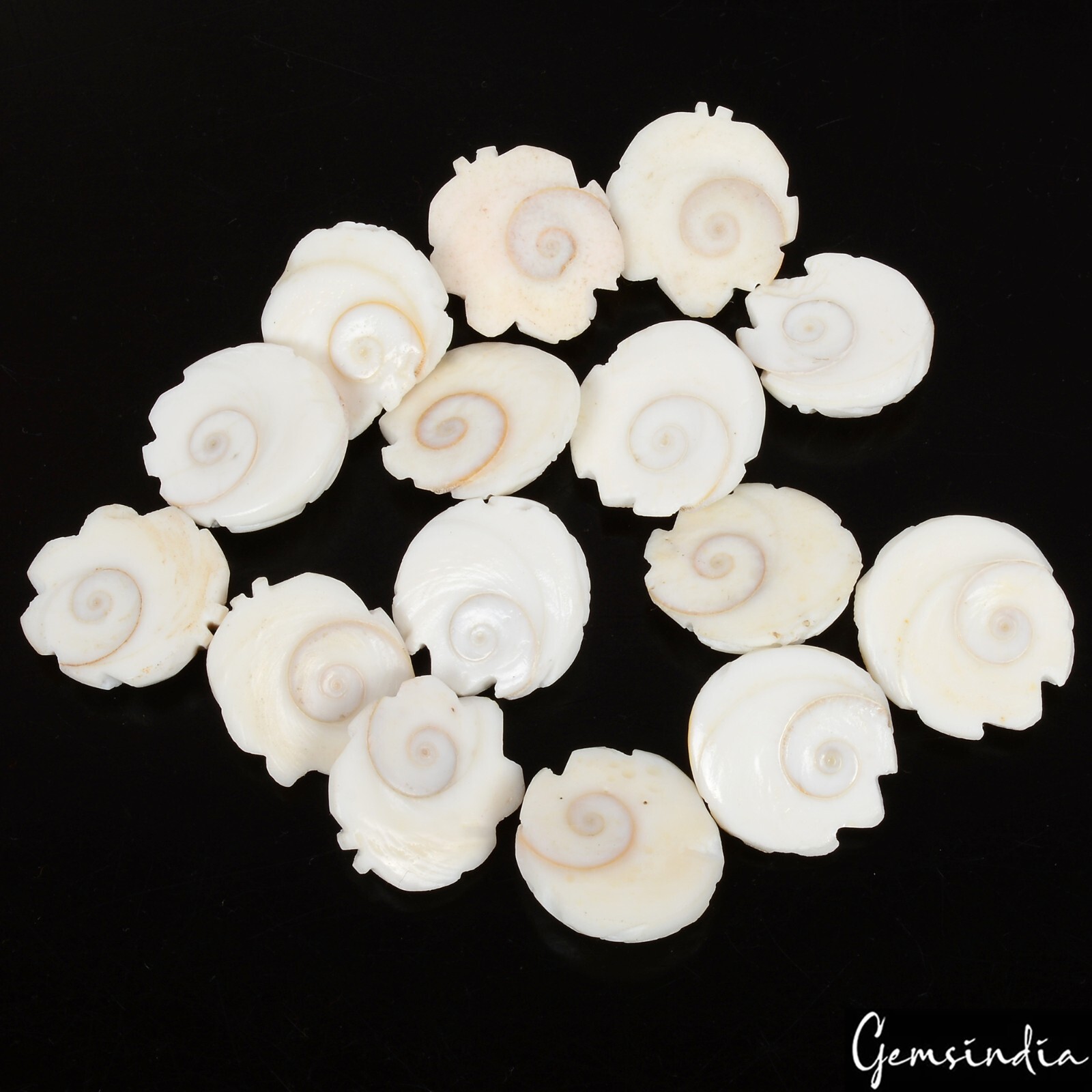 200 Cts/15 Pcs Natural Untreated Gomti Chakra Carved Ganesha Loose Gems Lot