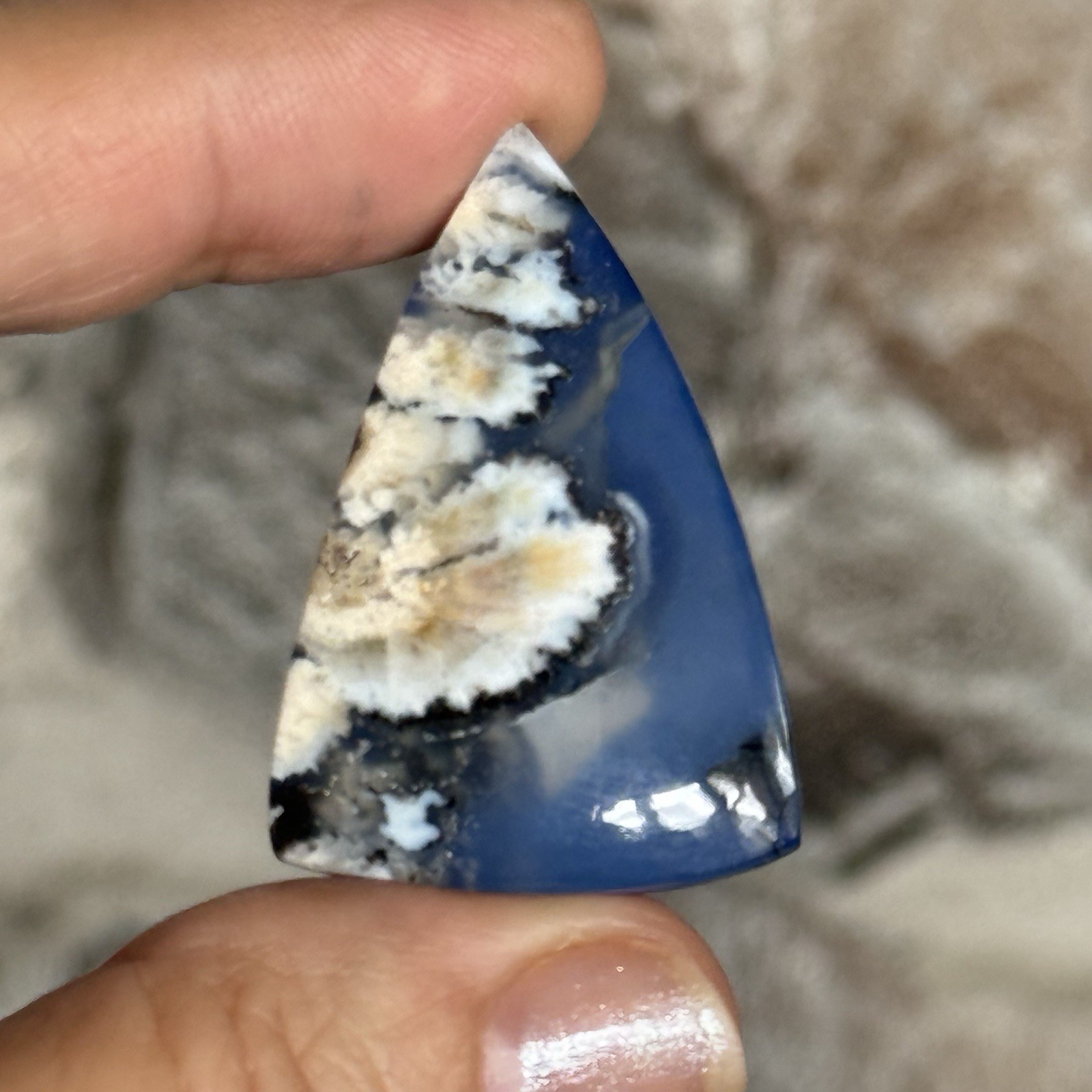 45.4ct 38x26x6mm Flower Plume Agate And Lapis Lazuli Doublet Cabochon Gem