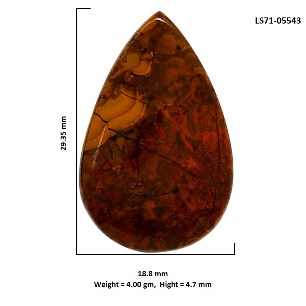 Rare Cady Mountain Agate 18.8×29.35×4.7 mm Pear Shape Gemstone LS71-05543