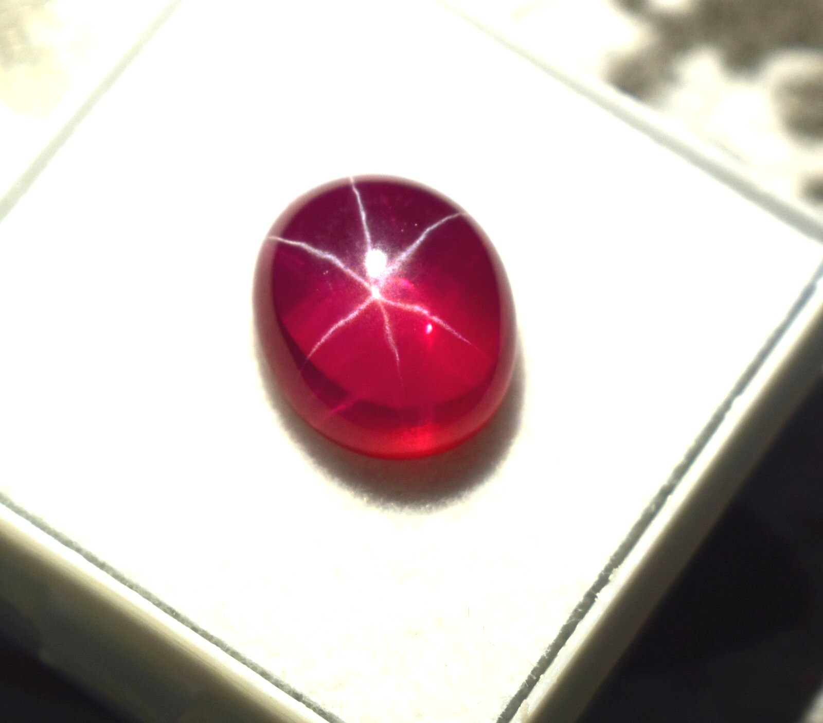 Certified Oval Cabochon 5.75 Ct Natural 6 Rays Red Star Ruby Loose Gemstone