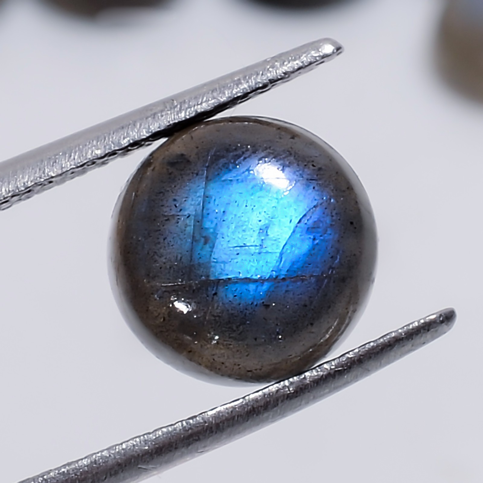 100% Natural Labradorite Round Cabochon Gemstone Lot 20 Ct. 9X9X4 mm EEL-17