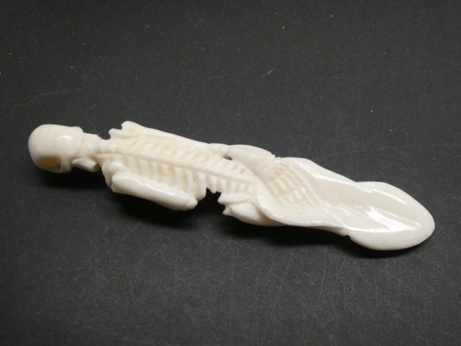 Skeleton Standing Double Sided Anatomical Natural Water Buffalo Bone Pendant
