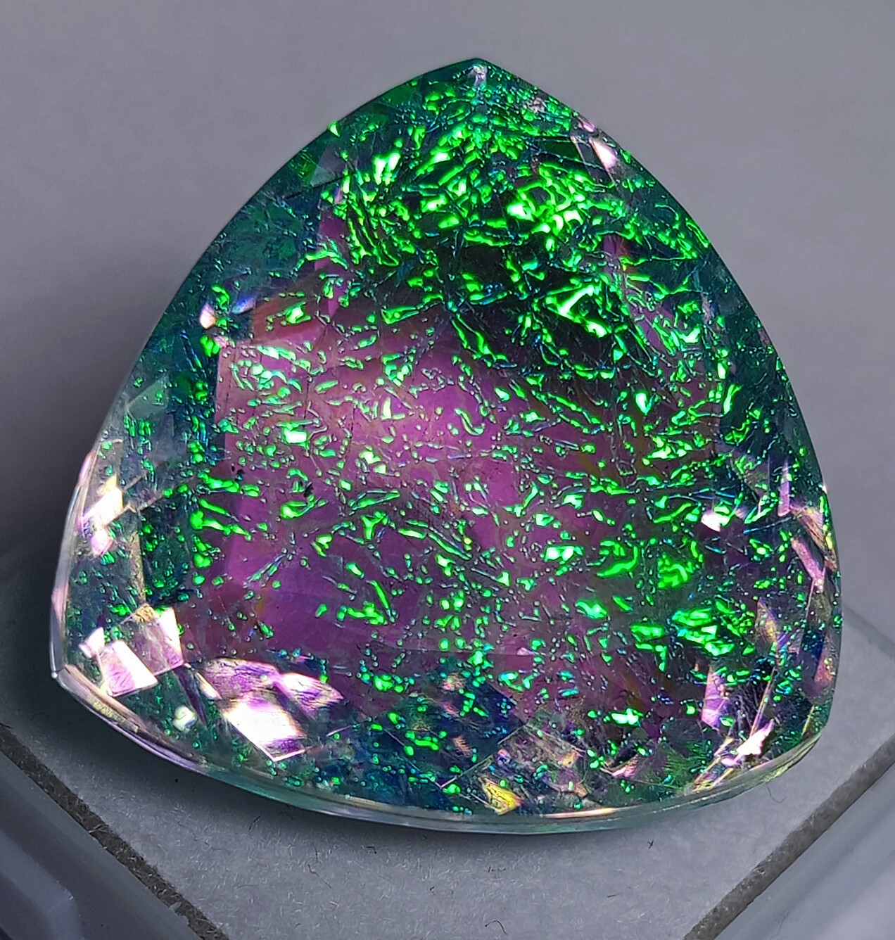Natural Monarch Fire Opal Doublet Trillion Certified 58.55 Ct Loose Gemstone