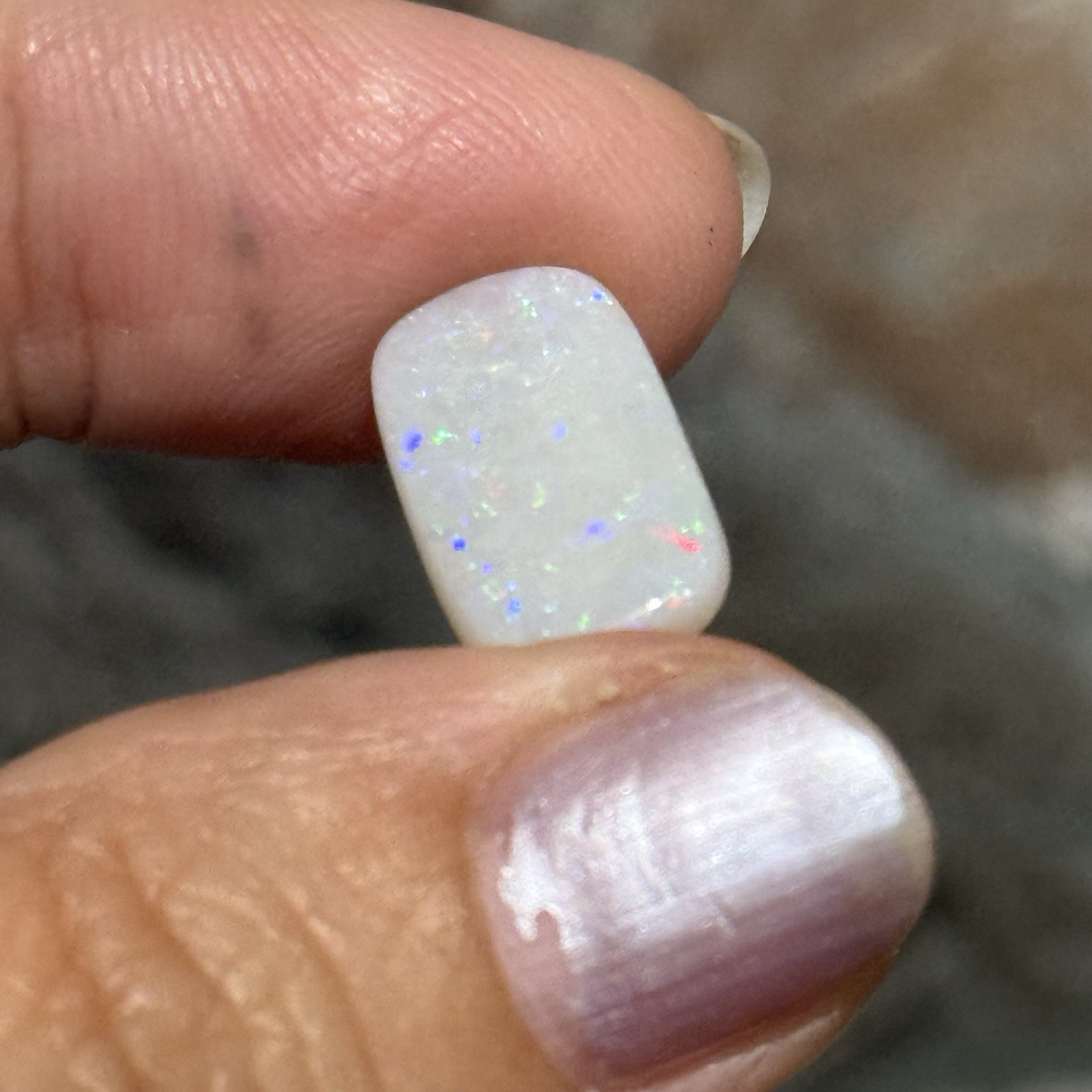 4.1ct 15.1×9.3×3.3mm Solid White Coober Pedy Stardust Australian Opal Cabochon