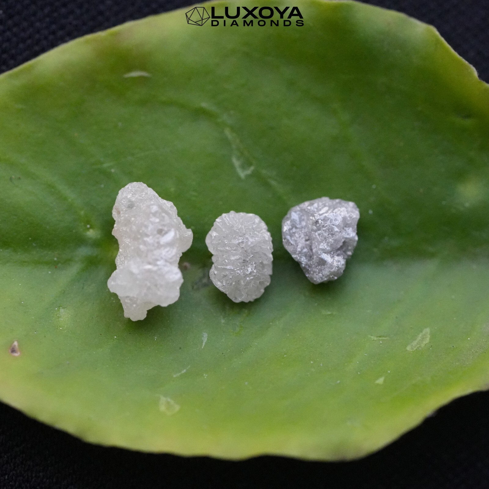 150 pcs 50 Carat Silver Natural Loose Rough White Diamond Uncut Raw Diamond