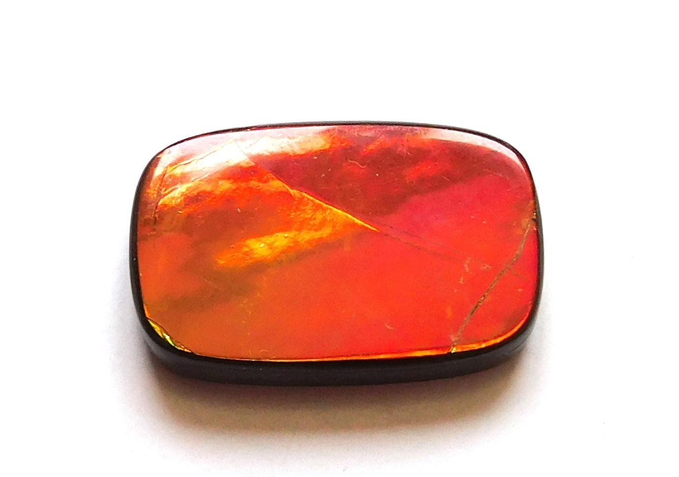 13.45 Ct Natural Canadian Ammolite Cabochon Loose Gemstone 20.6X13.2X4MM LT12