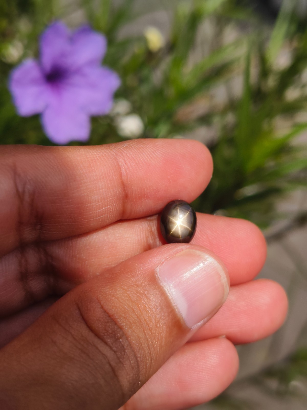 3.48 Cts A BEAUTIFUL NO HEAT BLACK STAR SAPPHIRE OF PERFECT 6 RAYS STAR ✨