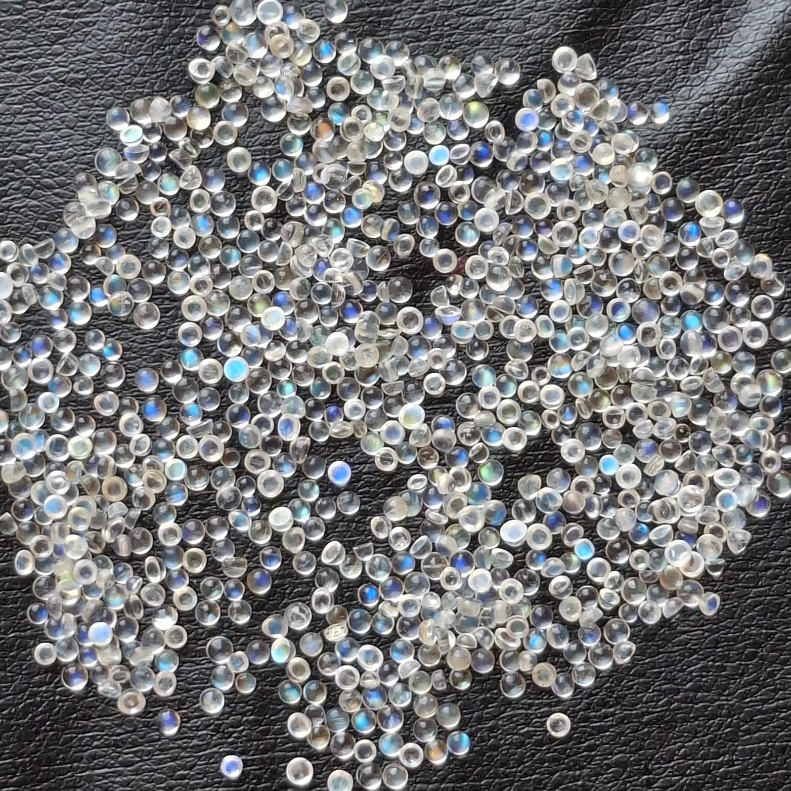 5 Pcs Natural Rainbow Moonstone Round Cabochon 2.5mm Approx AMJ2320