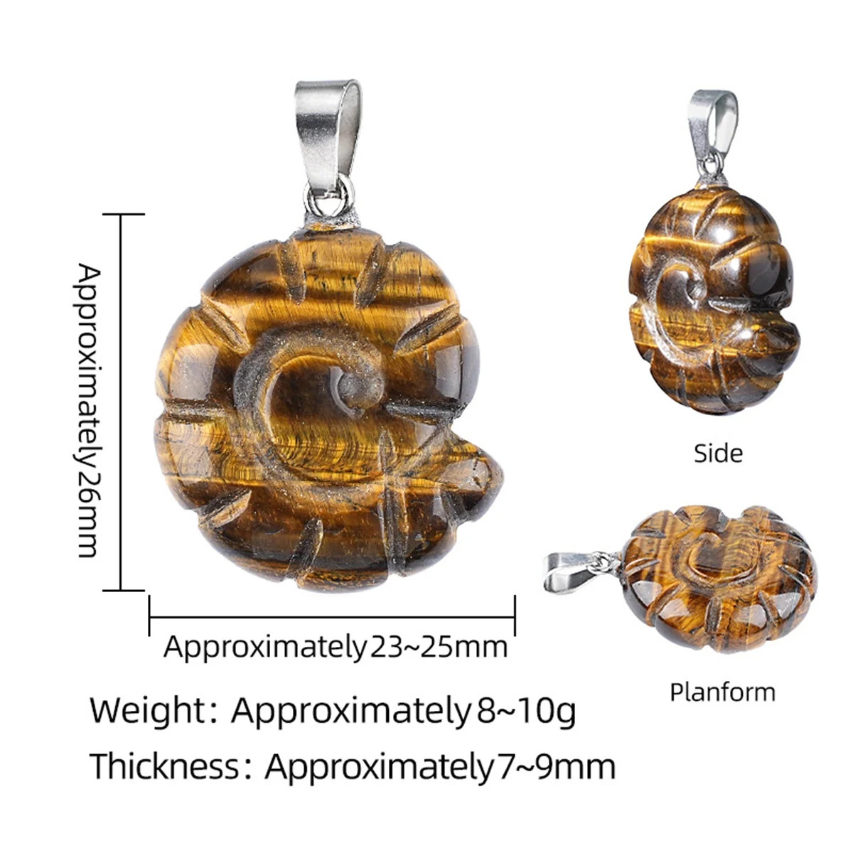 5PCS Carved Gemstone Conch Shell Pendant 25mm Crystal Ammonite Fossil Charms
