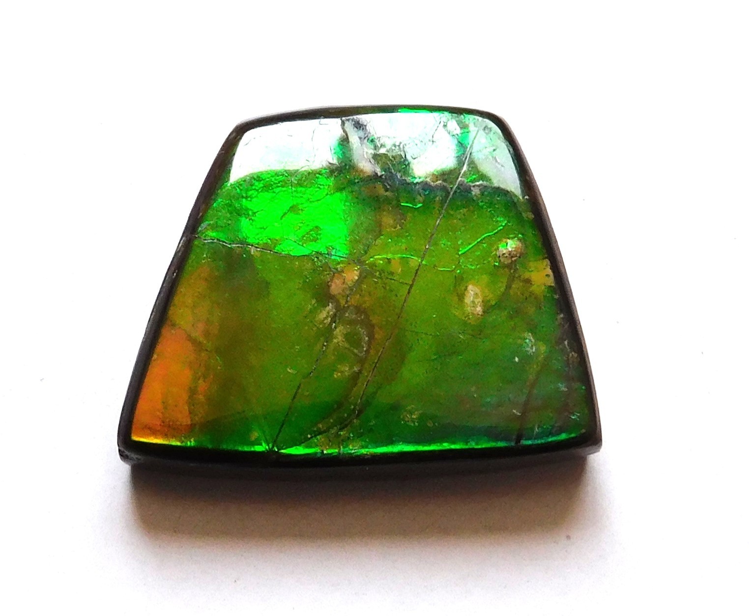 11.70 Ct Natural Canadian Ammolite Cabochon Loose Gemstone 18.8X14.9X4.3MM LF51