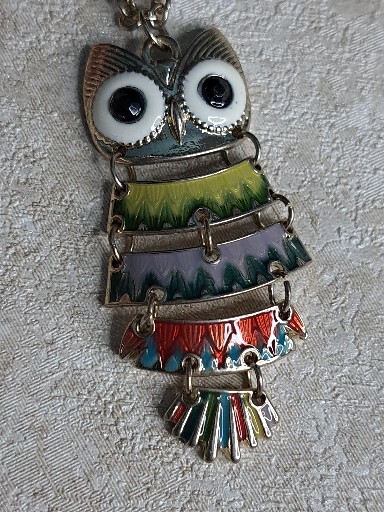 Claire’s Owl Necklace Multi-colored With Gold-tone 16 In Chain 3 In Extender…