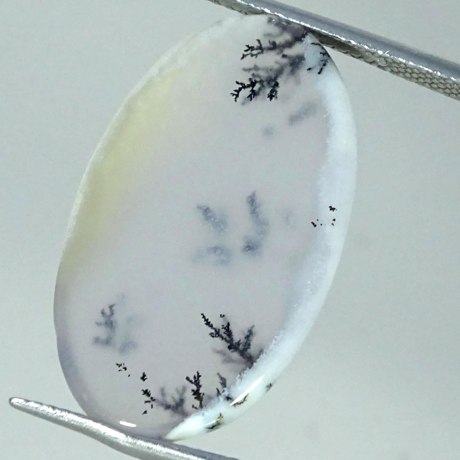 13.90Cts. RARE Natural Dendrite Opal Oval Cabochon Gemstone 16X26X5MM
