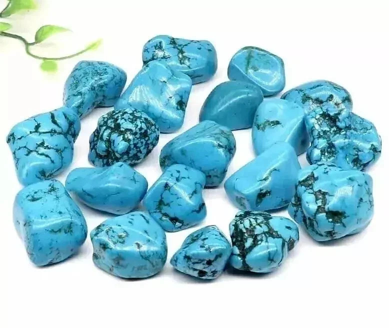 EGL Certified 1000+Ct Natural Arizona Turquoise Blue Tumble 10-12 Pcs Loose Gem