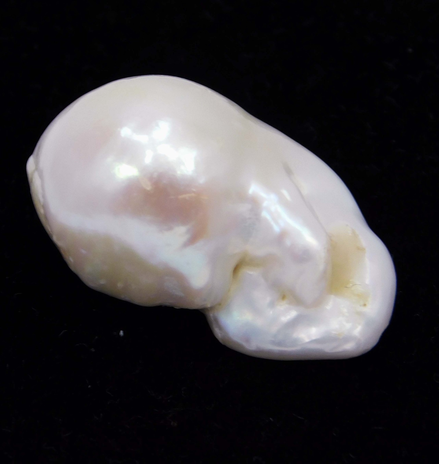 26.30 Ct Natural Baroque Pearl 23.8×13.5×13.8mm Genuine Loose White Cream Moti