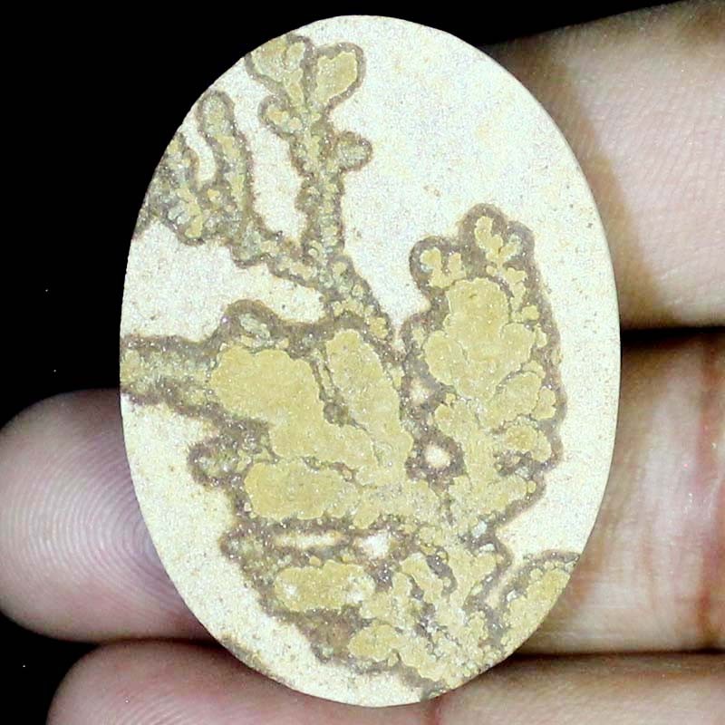 Loose Gemstone 80.85CT 100% Natural psilomelane dendrite Oval Cabochon 33x45x6mm