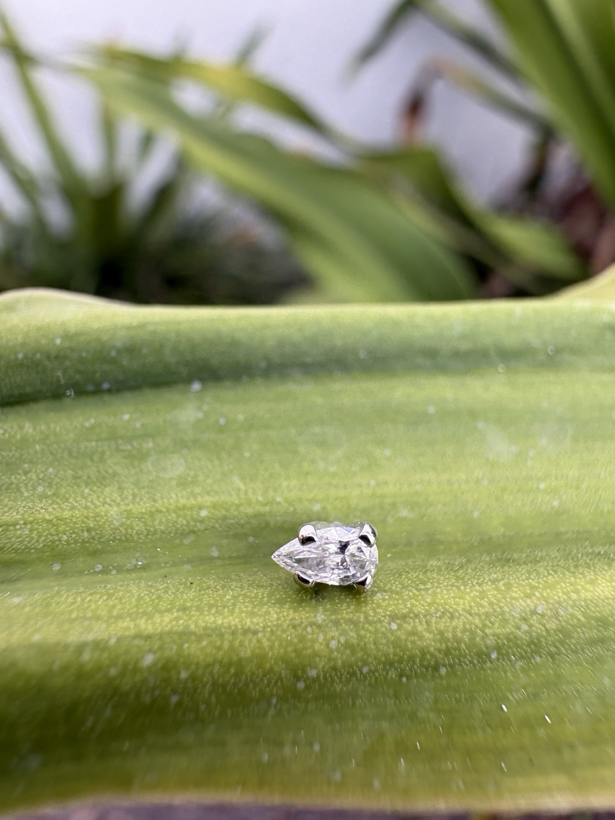 Dermal Top Pear Shape 4mm Natural Diamond 14k Solid White Gold Certified