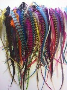 100 Bulk Individual Feathers for Hair Extension Ranging 4-7 or Longer Rainbow Mi