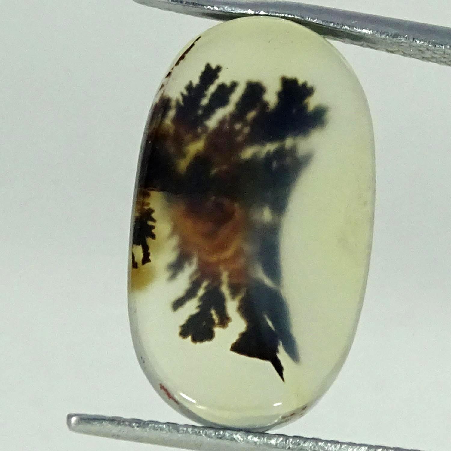 6.40Cts. Natural Shazar Dendrite Agate Oval Cabochon Gemstone 11X19X3MM