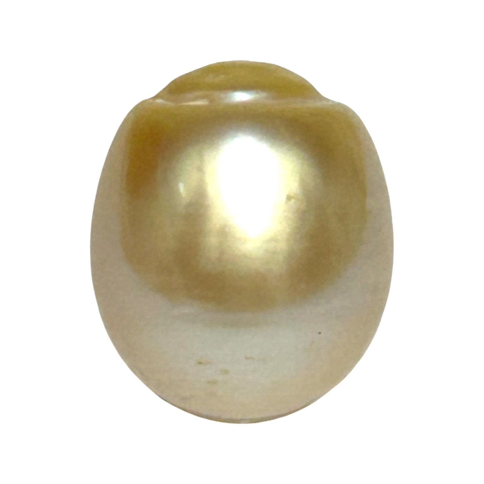 Refined 23.6ct 13.9 x 16.4mm Genuine Golden Australian South Sea Pearl Loose