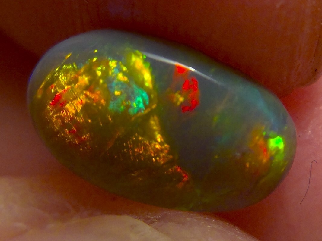 1.25cts Solid Lightning Ridge semi black opal, stunning rainbow fire *see video*