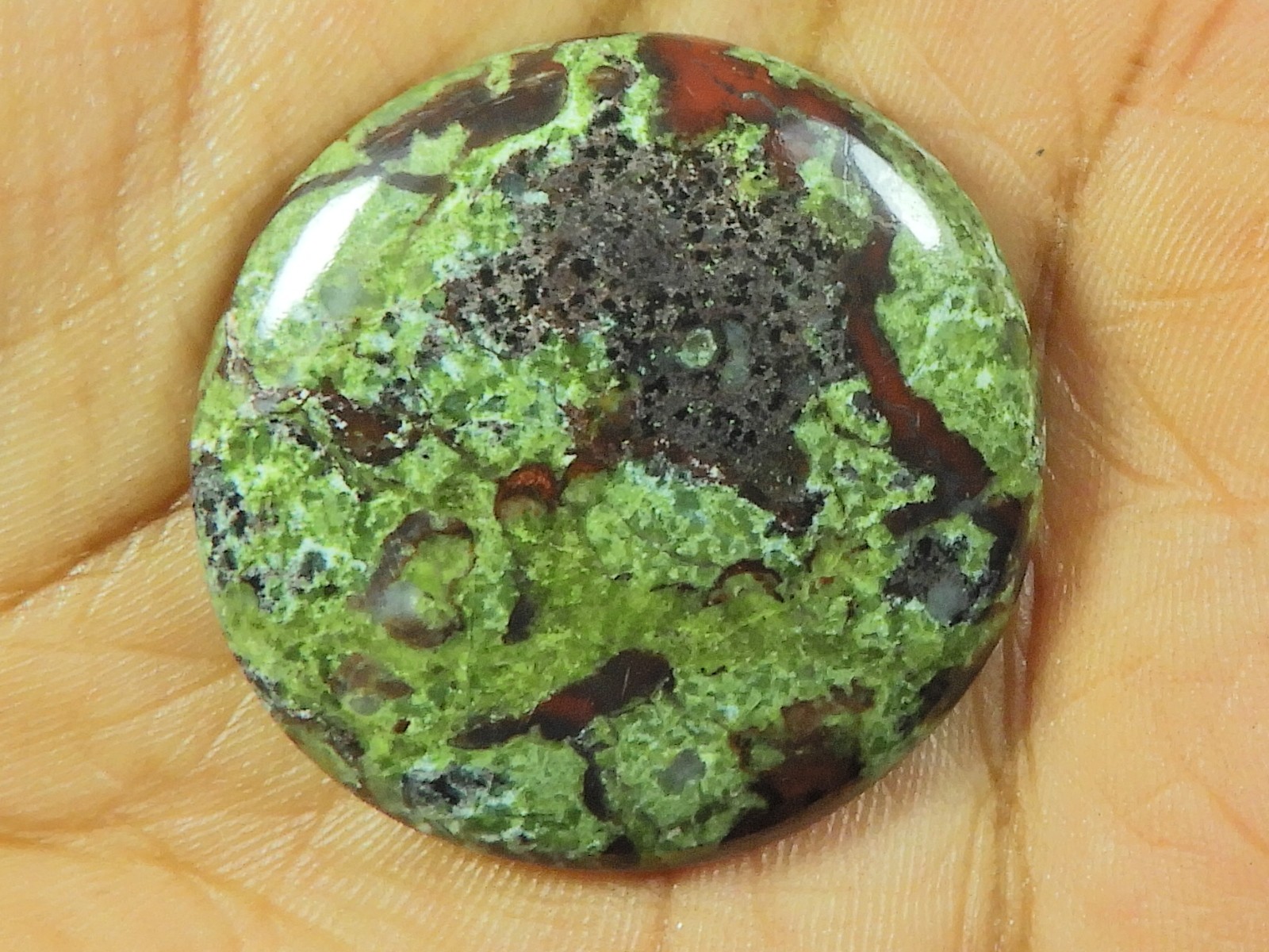 31X31X05 MM Natural Dragon Jasper Round Shape Cabochon Loose Gemstone 52Cts. l08