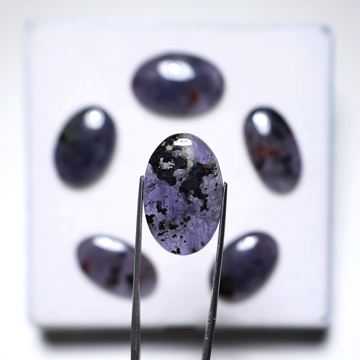6 PC Violet Mist Iolite Cabochon Set– Indigo Stones w/ Hematite Flecks – 23-27mm