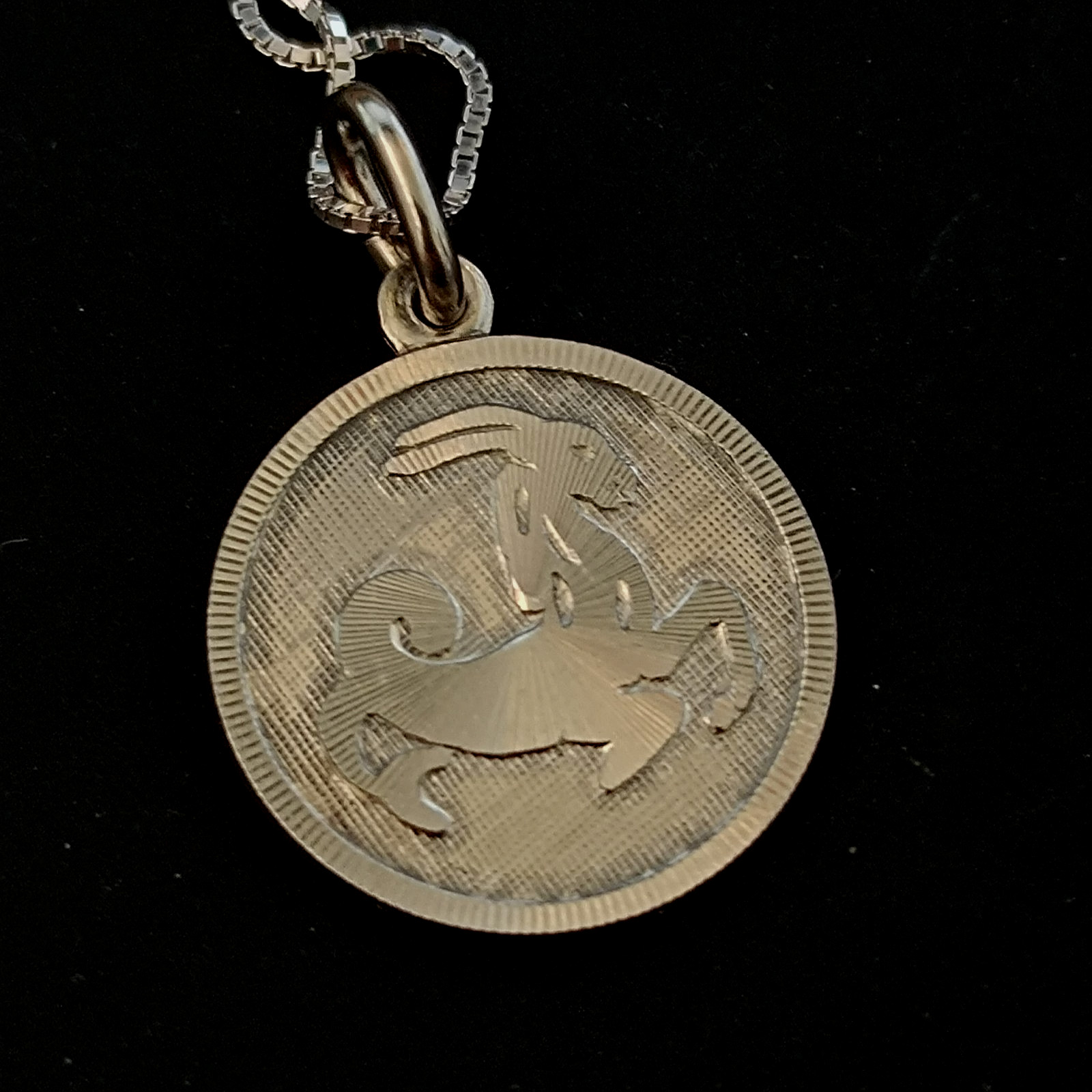 Capricorn Zodiac Vintage Necklace Sterling Silver Astrology Pendant Me’sn Women