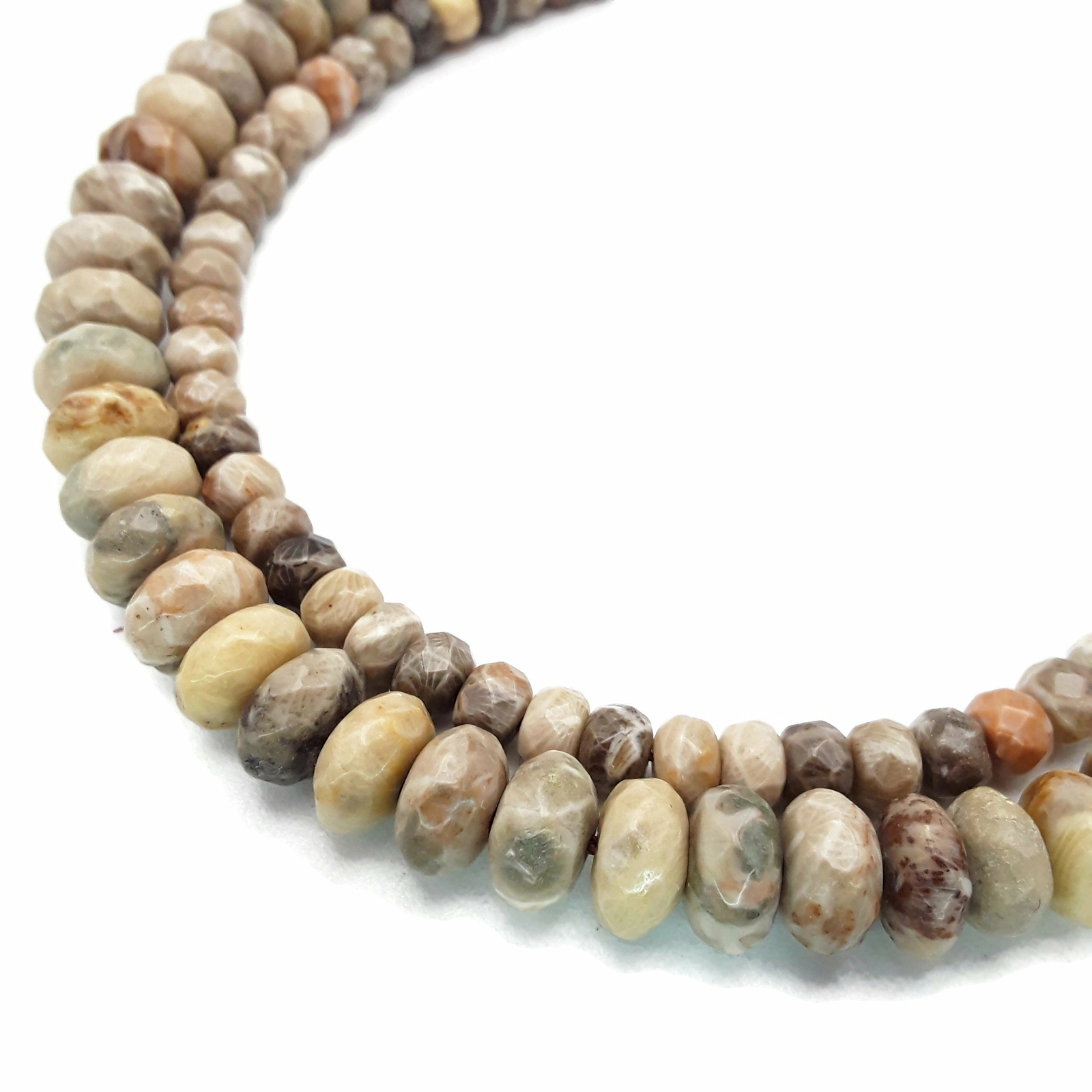Natural Fossil Coral Faceted Rondelle Beads 4x6mm 6x10mm 15.5″ Strand