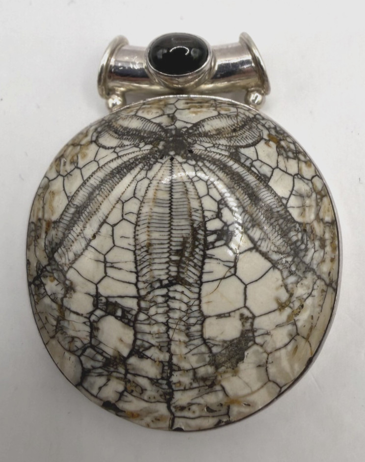 SAJEN Sterling Silver Fossilized Sand Dollar Circle Pendant w/ Onyx [076DUR]