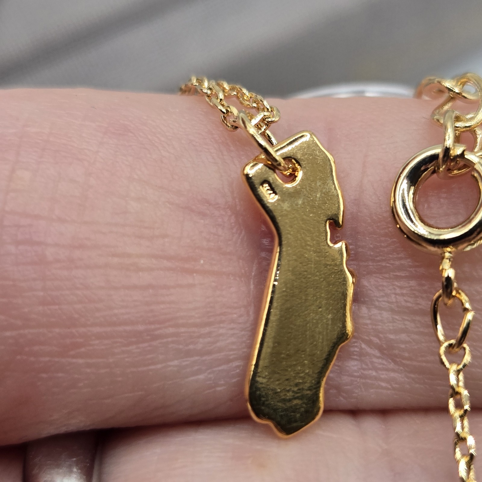 Gold Dainty Chain California State Charm Necklace 16K Gold Plated Boutique Brand