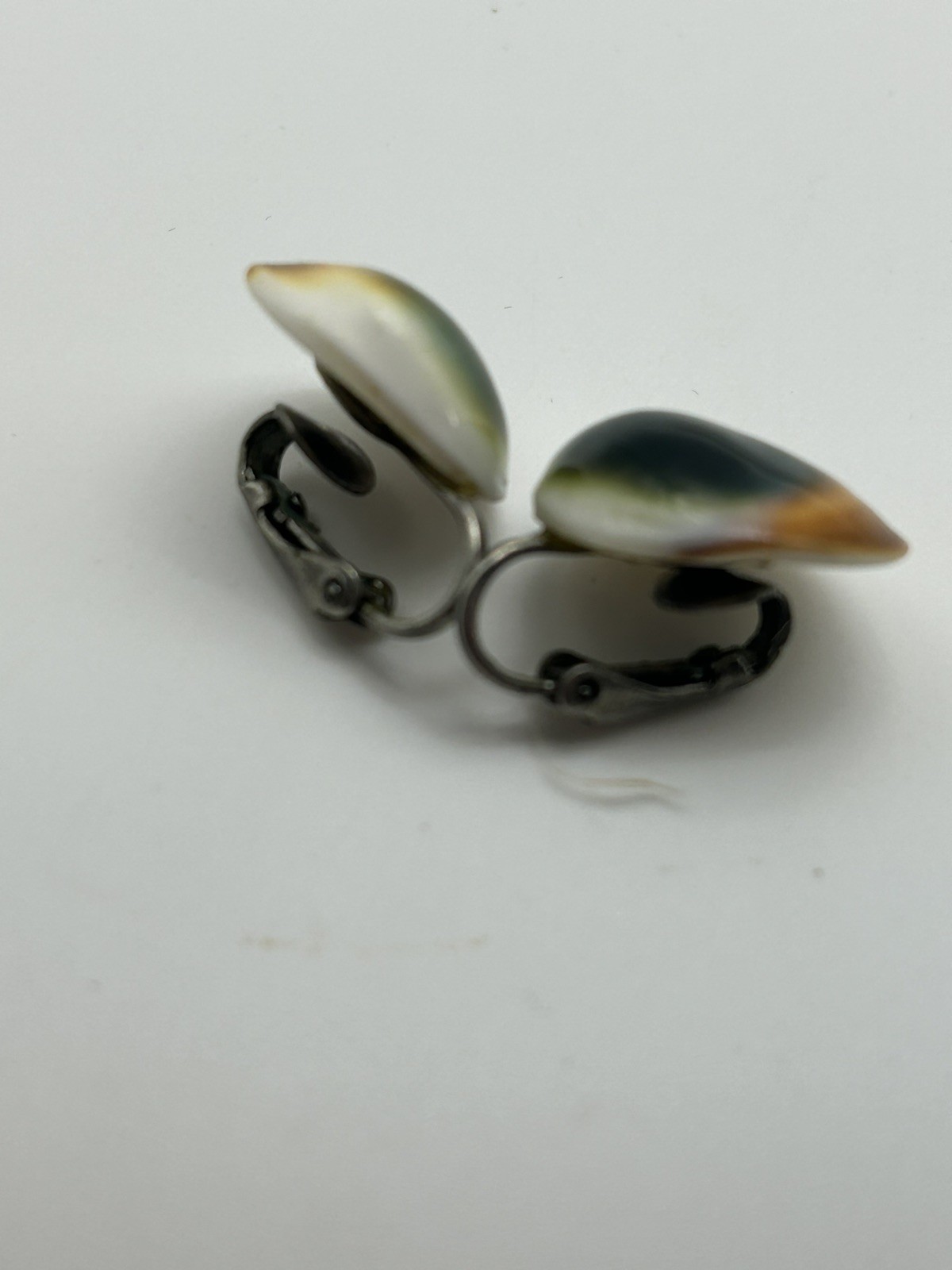 Vintage Art Deco Operculum Shell Cat’s shiva Eye clipon Earrings western Germany