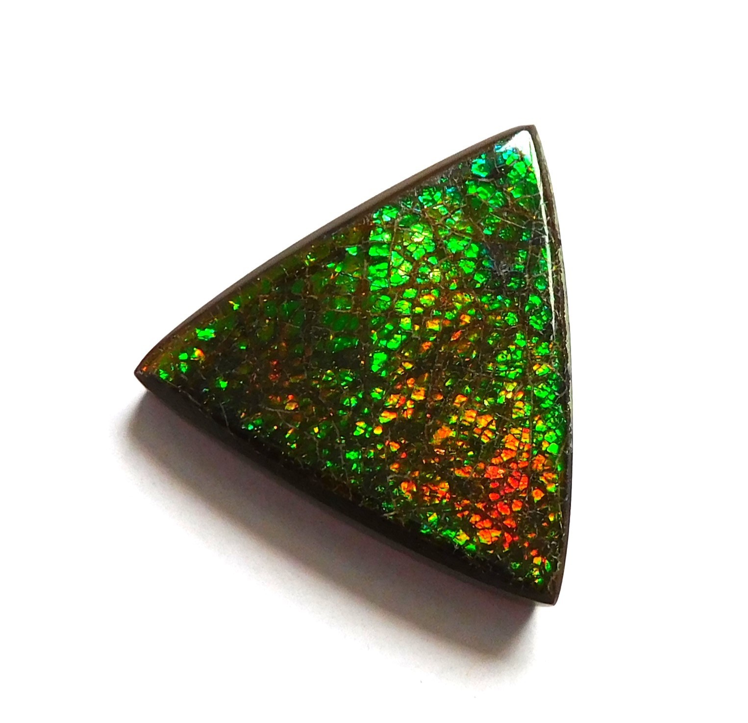 19.10 Ct Natural Canadian Ammolite Cabochon Loose Gemstone 22.6X22.4X4.2MM KJ120