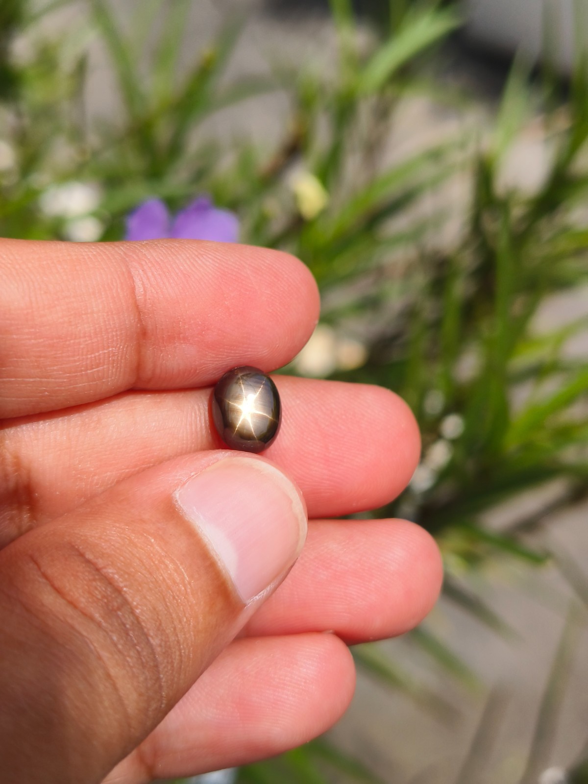 3.48 Cts A BEAUTIFUL NO HEAT BLACK STAR SAPPHIRE OF PERFECT 6 RAYS STAR ✨