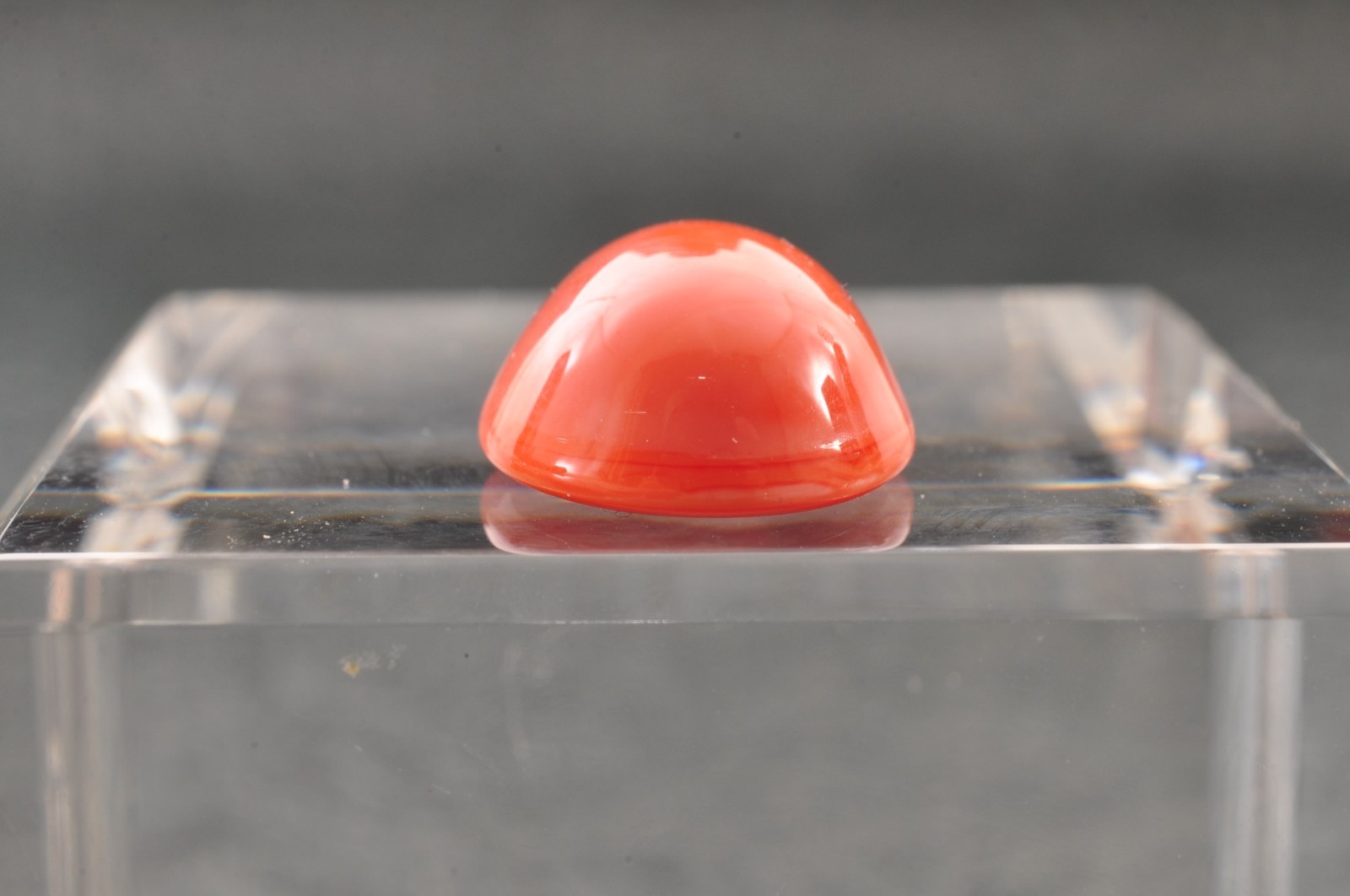 With Certification Single color MOMO coral oval Cabochon ( 15mm(0.59in) 8.85ct).