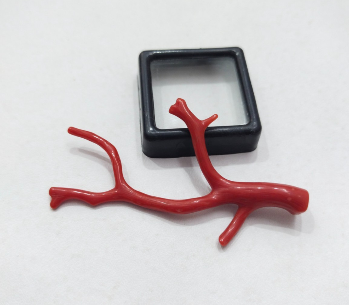 Genuine Undyed Red Coral Branch, Polished Italian Mediterranean Sea Red Gemstone
