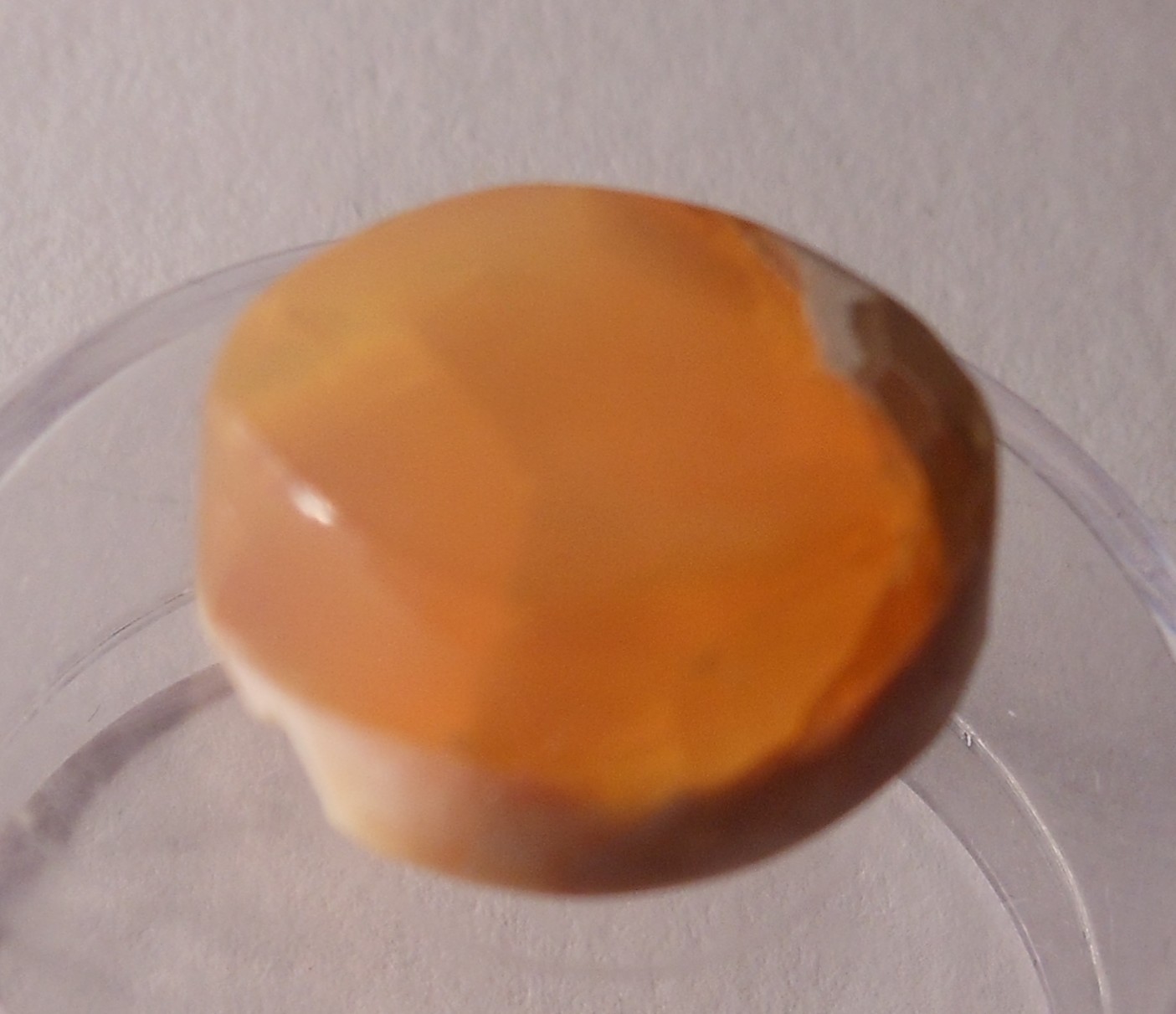 11ct Orange Mexican Fire Opal Cab 15.8mm x 14.2mm x 7.4mm