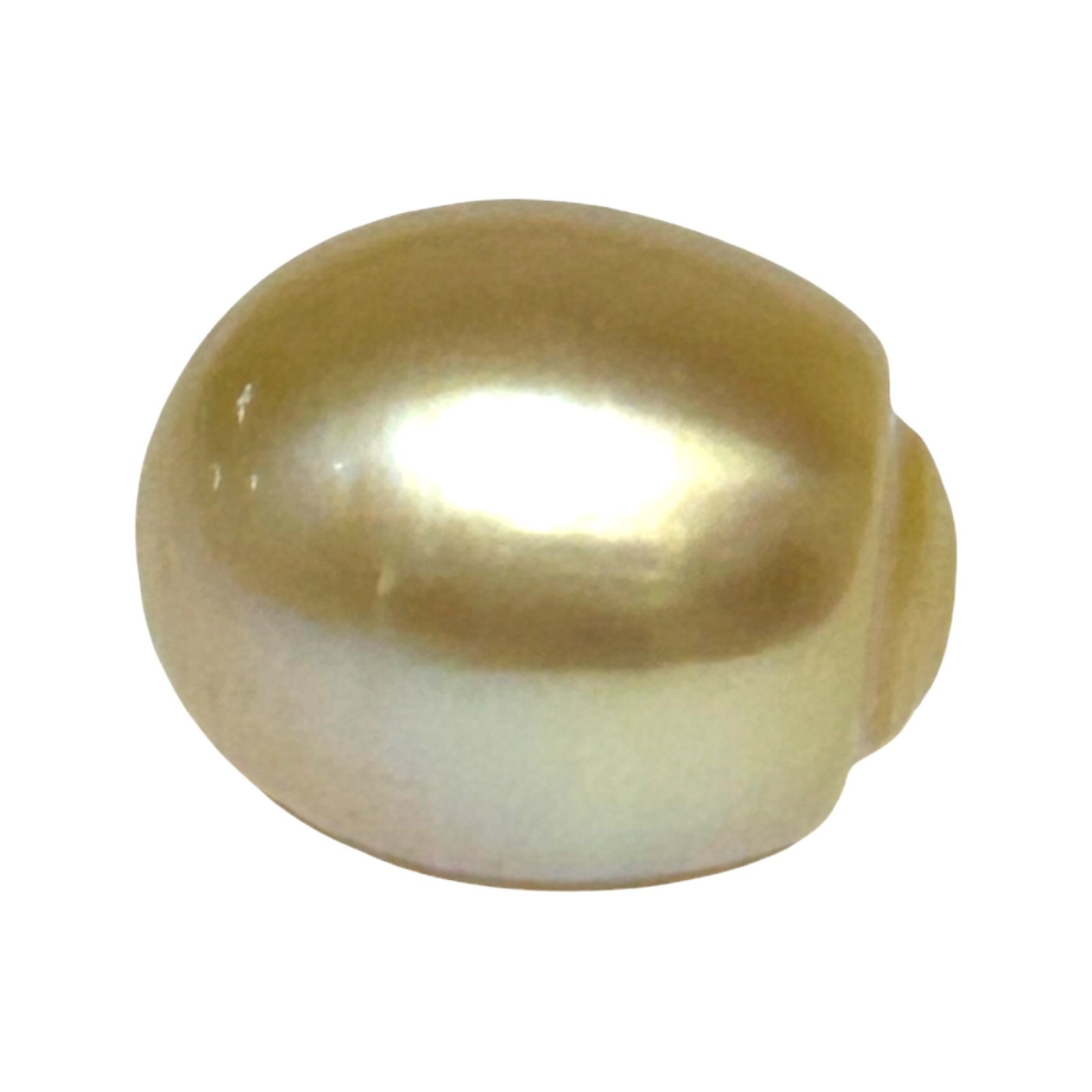 Refined 23.6ct 13.9 x 16.4mm Genuine Golden Australian South Sea Pearl Loose