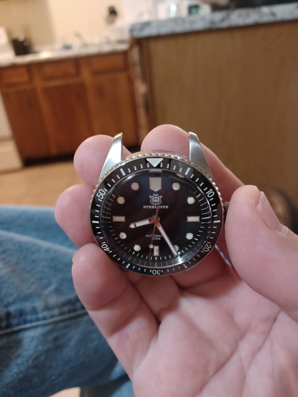 Steeldive dive watch
